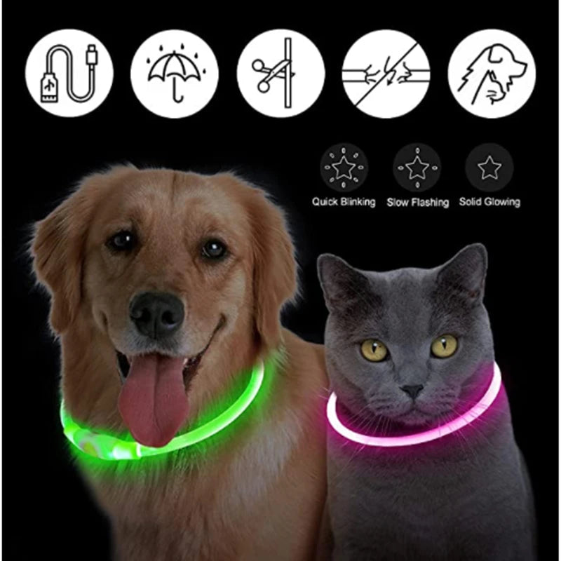 USB Rechargeable Luminous Dog Collar for Night Safety - Smarsty