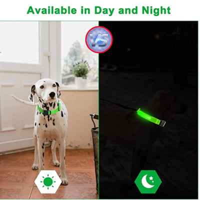 USB Rechargeable Luminous Dog Collar for Night Safety - Smarsty