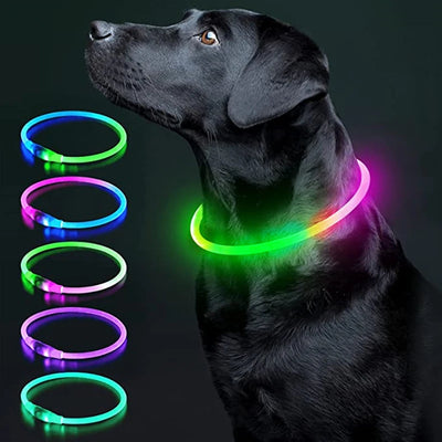 USB Rechargeable Luminous Dog Collar for Night Safety - Smarsty