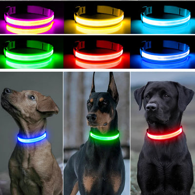 USB Rechargeable Luminous Dog Collar for Night Safety - Smarsty