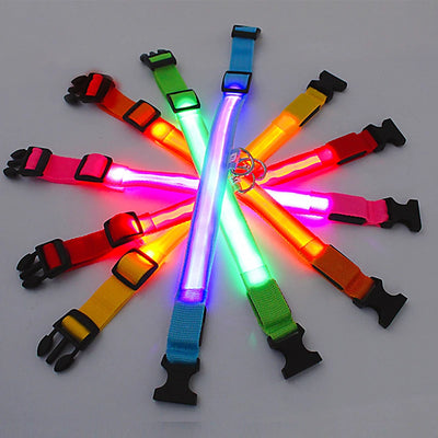 USB Rechargeable Luminous Dog Collar for Night Safety - Smarsty