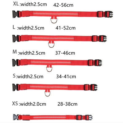 USB Rechargeable Luminous Dog Collar for Night Safety - Smarsty