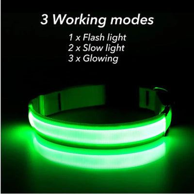 USB Rechargeable Luminous Dog Collar for Night Safety - Smarsty