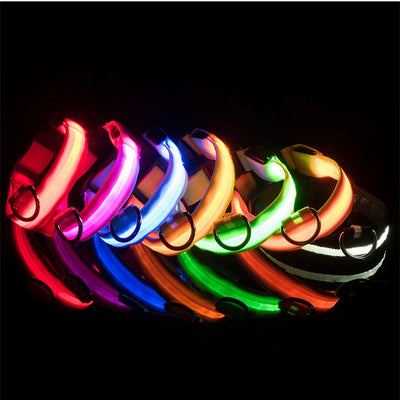 USB Rechargeable Luminous Dog Collar for Night Safety - Smarsty