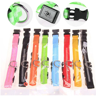 USB Rechargeable Luminous Dog Collar for Night Safety - Smarsty