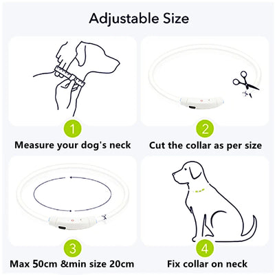 USB Rechargeable Luminous Dog Collar for Night Safety - Smarsty