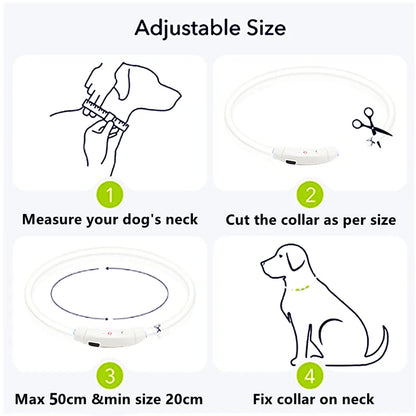 USB Rechargeable Luminous Dog Collar for Night Safety - Smarsty
