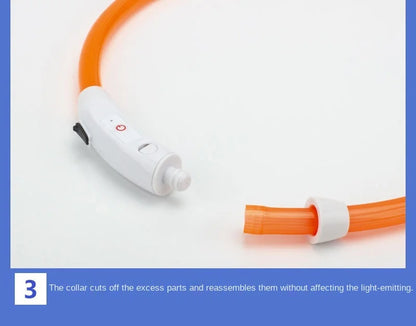 USB Rechargeable Luminous Dog Collar for Night Safety - Smarsty