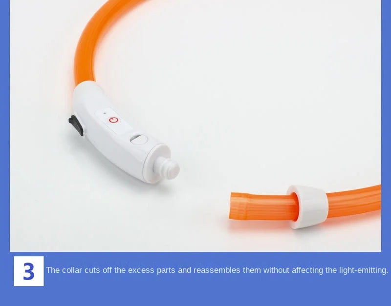USB Rechargeable Luminous Dog Collar for Night Safety - Smarsty