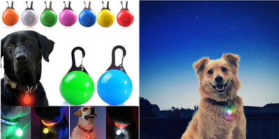 USB Rechargeable Luminous Dog Collar for Night Safety - Smarsty