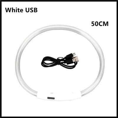 USB Rechargeable Luminous Dog Collar for Night Safety - Smarsty