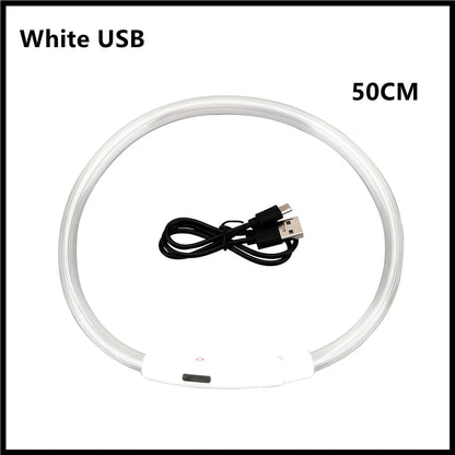 USB Rechargeable Luminous Dog Collar for Night Safety - Smarsty