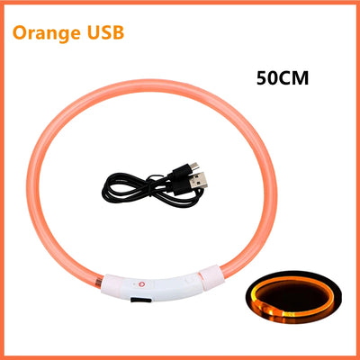USB Rechargeable Luminous Dog Collar for Night Safety - Smarsty