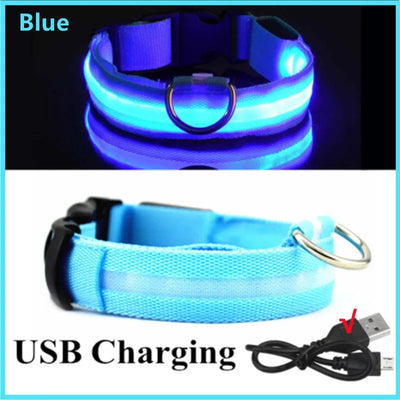 USB Rechargeable Luminous Dog Collar for Night Safety - Smarsty