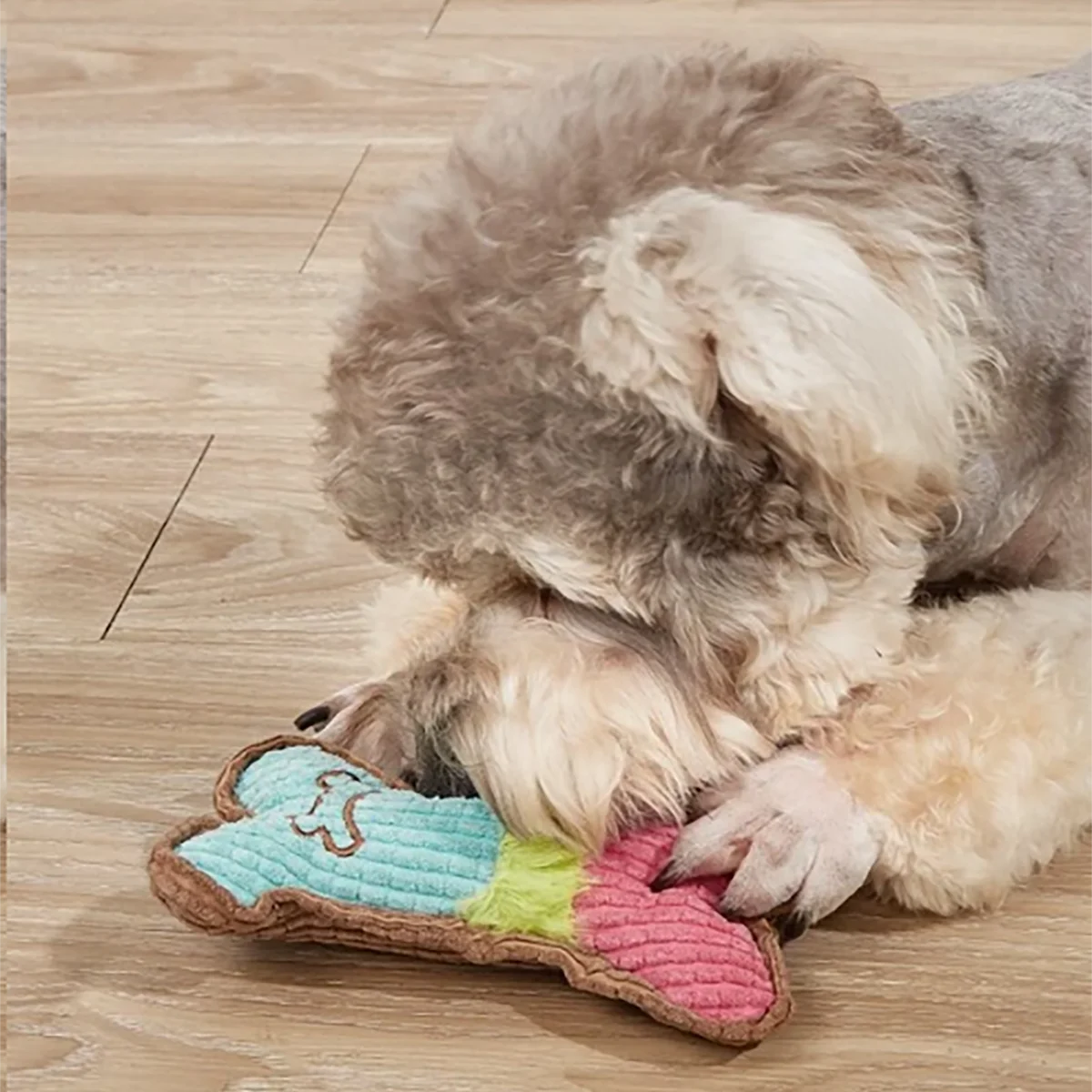 Dog Squeaky Chew Toy for Teething Puppies - Smarsty