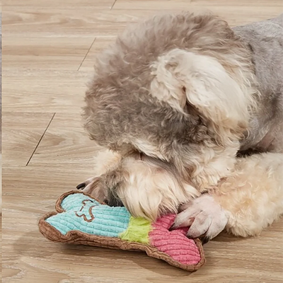 Dog Squeaky Chew Toy for Teething Puppies - Smarsty