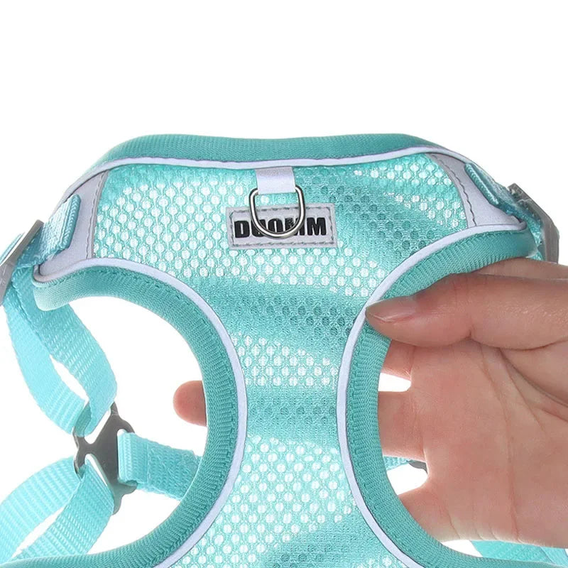 Reflective Dog Harness Leash Set for Outdoor Safety - Smarsty