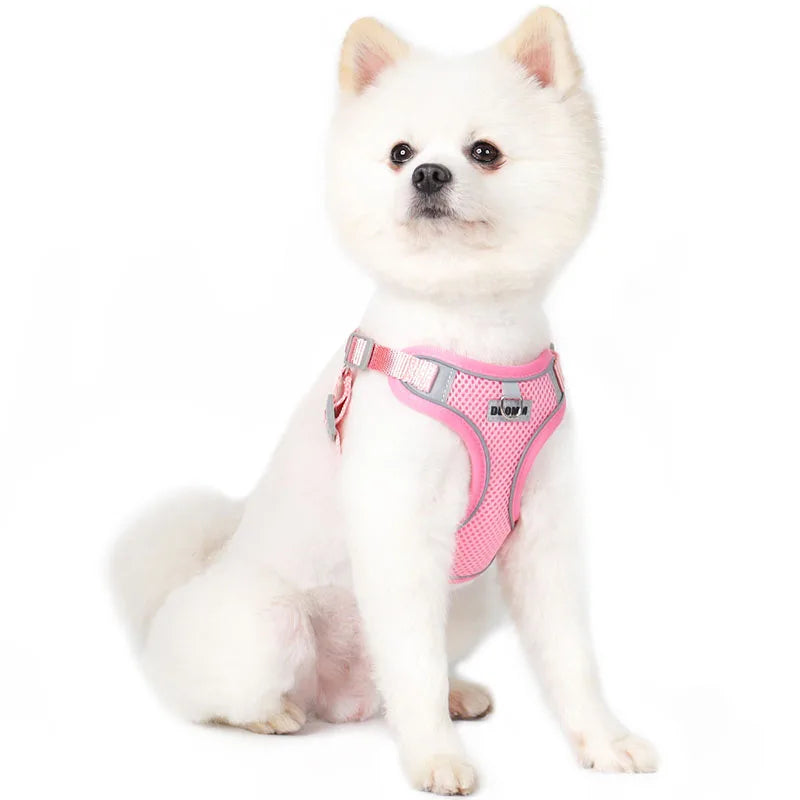 Reflective Dog Harness Leash Set for Outdoor Safety - Smarsty
