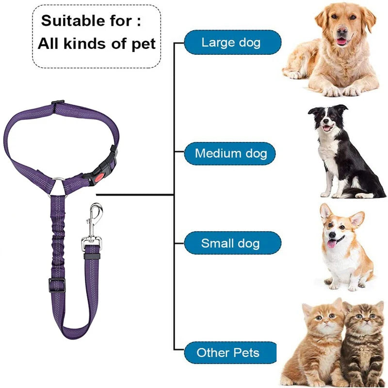 Adjustable Two-in-One Dog Harness Leash with Safety Belt - Smarsty