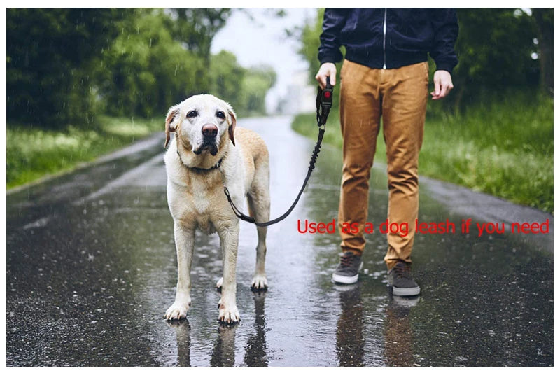 Adjustable Two-in-One Dog Harness Leash with Safety Belt - Smarsty
