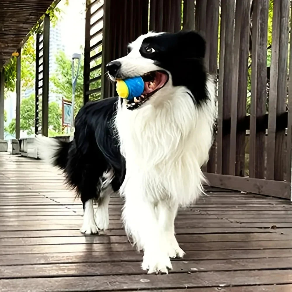 Durable Dog Chew Ball for Interactive Play - Smarsty