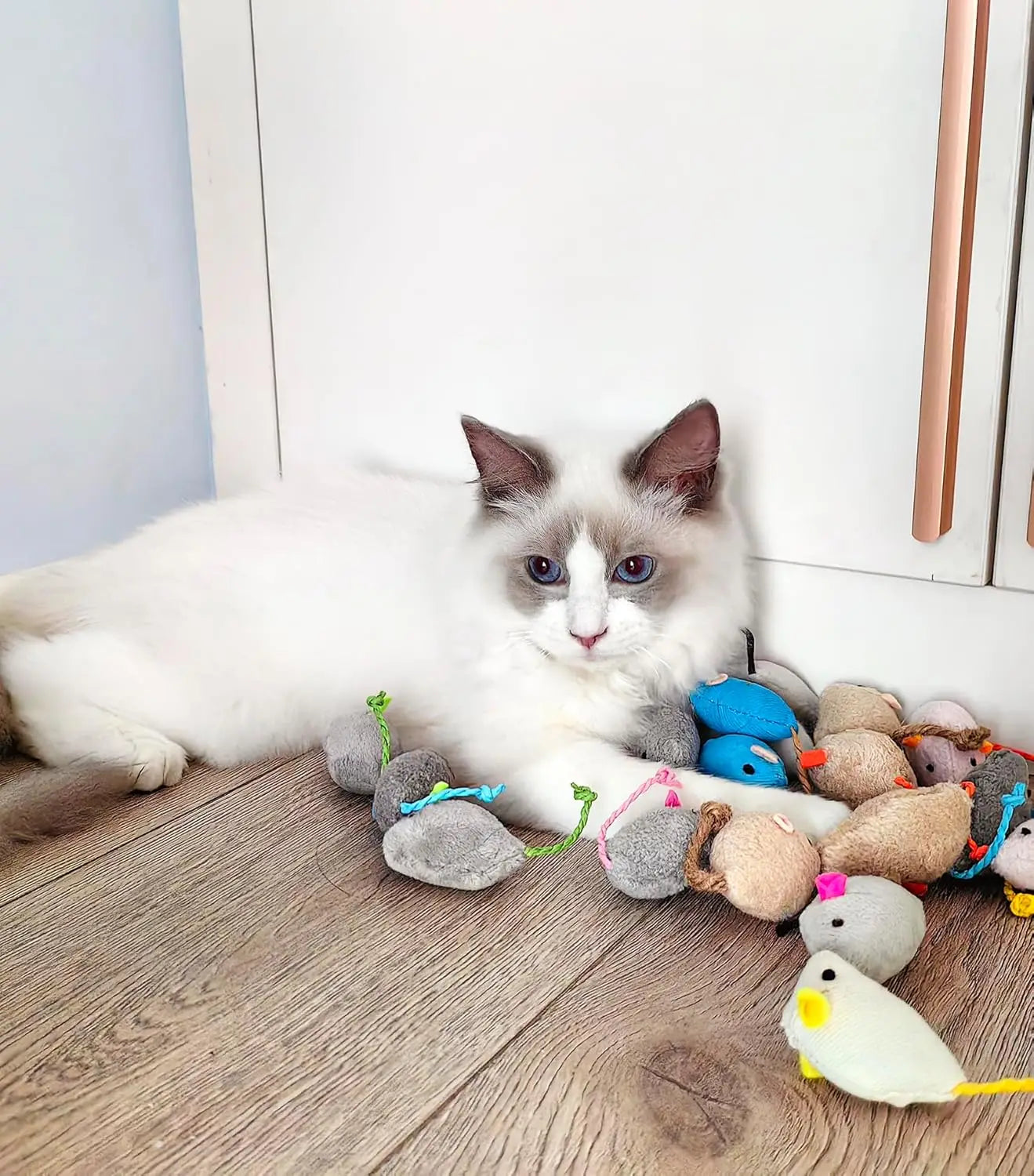 Interactive Catnip Mice Toys for Indoor Cats - Smarsty