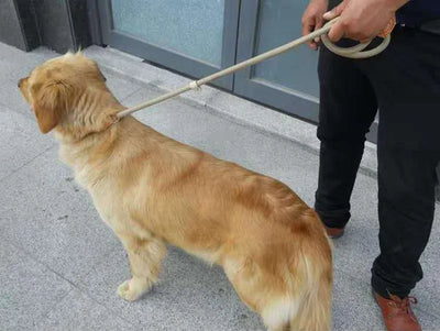 Heavy Duty Dog Leash Adjustable Braided Rope Lead - Smarsty
