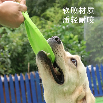 OUZEY Bite Resistant Flying Disc Dog Toy for Training - Smarsty