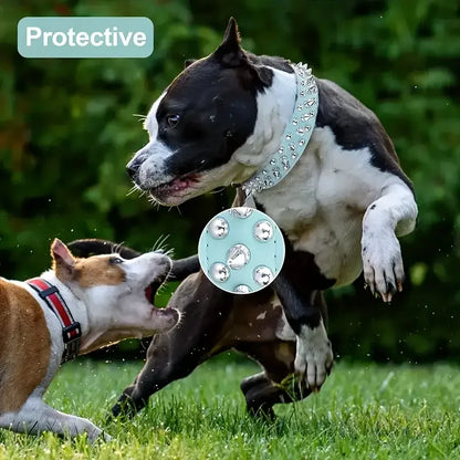 Spiked Leather Dog Collar and Leash Set for Outdoor Use - Smarsty