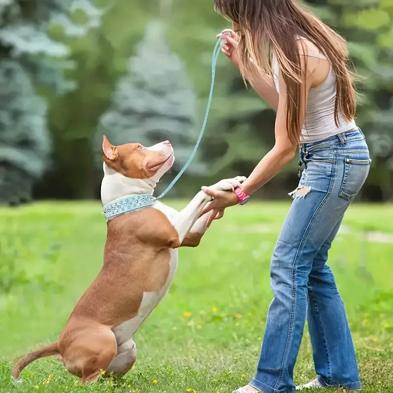 Spiked Leather Dog Collar and Leash Set for Outdoor Use - Smarsty