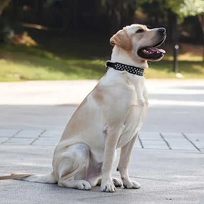 Spiked Leather Dog Collar and Leash Set for Outdoor Use - Smarsty