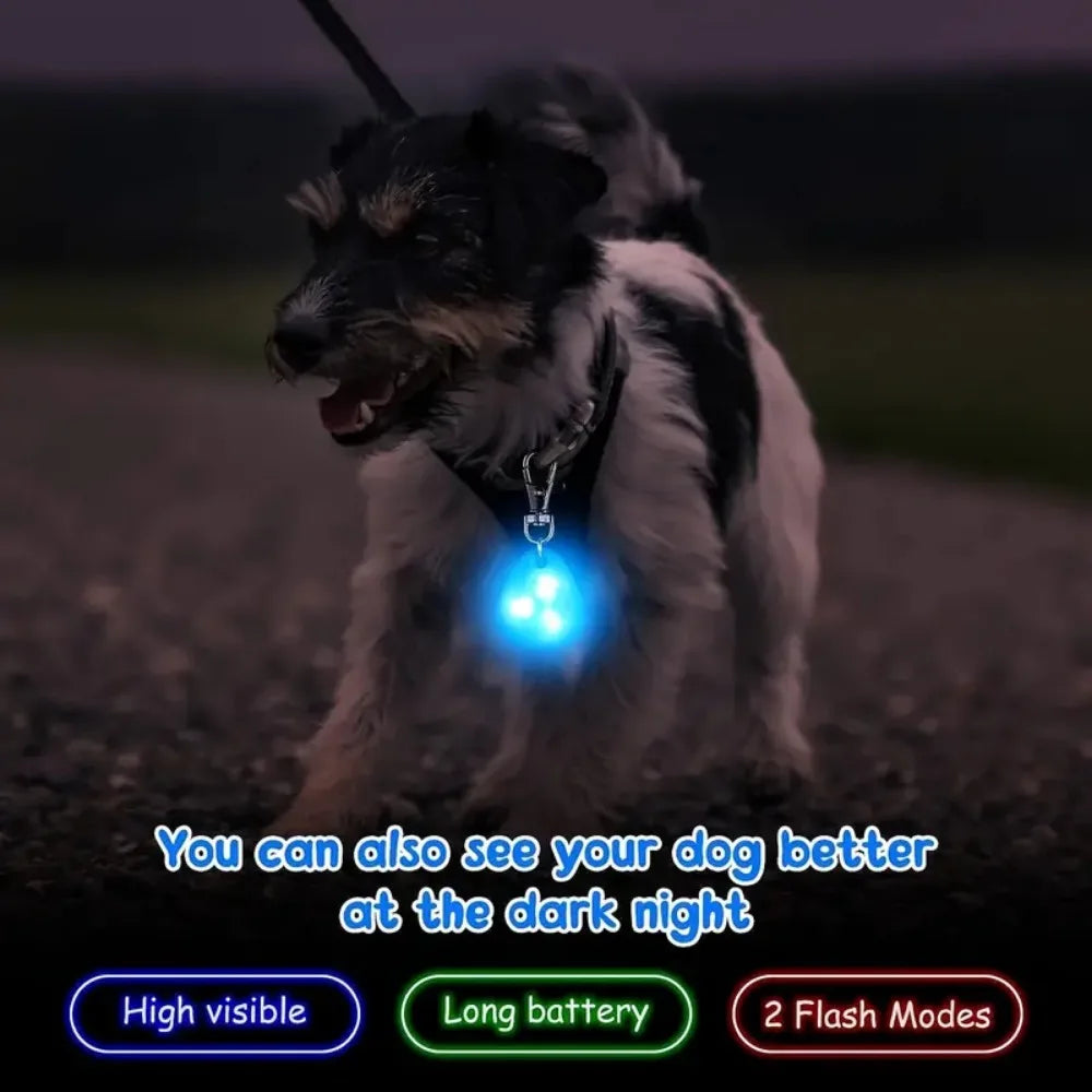 Waterproof LED Dog Collar Light for Safety - Smarsty