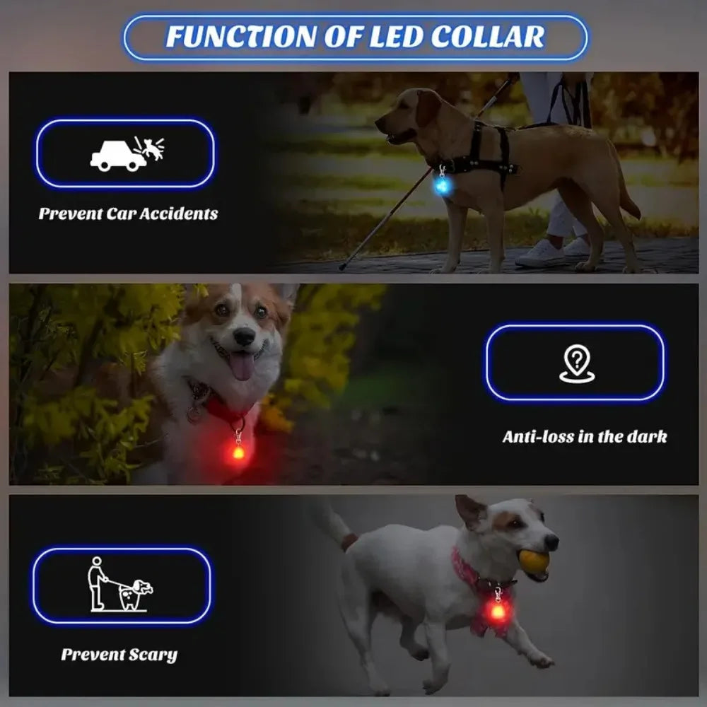 Waterproof LED Dog Collar Light for Safety - Smarsty