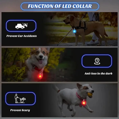 Waterproof LED Dog Collar Light for Safety - Smarsty