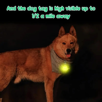Waterproof LED Dog Collar Light for Safety - Smarsty
