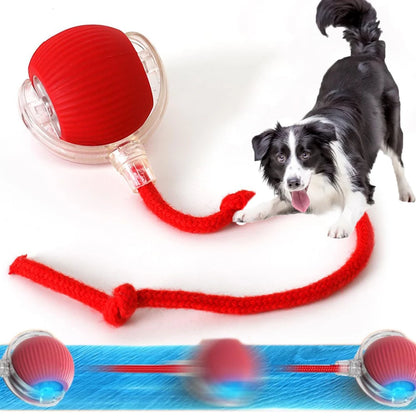 Smart Rechargeable Interactive Dog Ball Toy - Smarsty