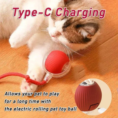 Smart Rechargeable Interactive Dog Ball Toy - Smarsty