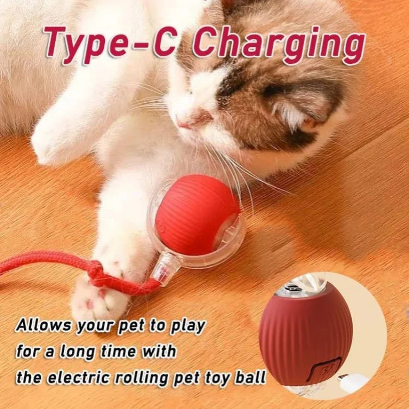 Smart Rechargeable Interactive Dog Ball Toy - Smarsty