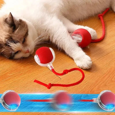Smart Rechargeable Interactive Dog Ball Toy - Smarsty
