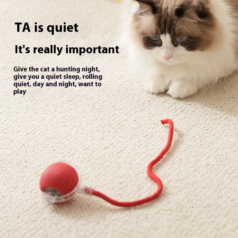 Rechargeable Interactive Cat Toy Smart Rolling Ball - Smarsty