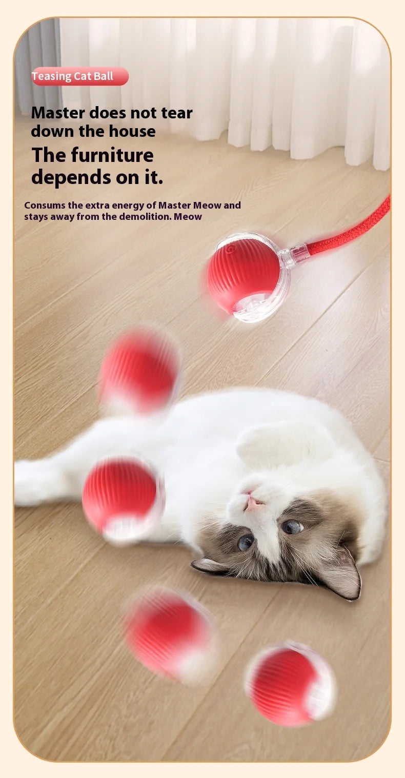 Rechargeable Interactive Cat Toy Smart Rolling Ball - Smarsty