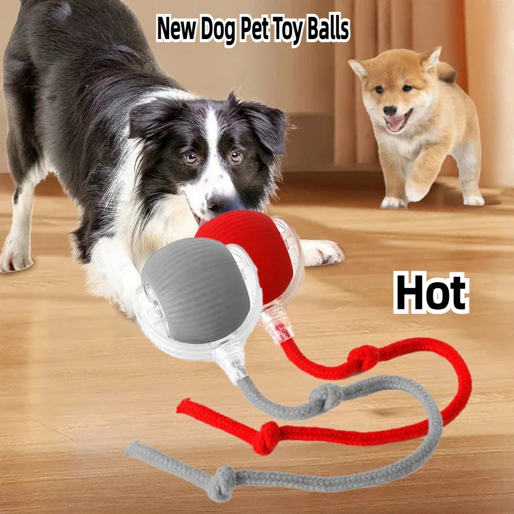 Rechargeable Smart Interactive Pet Ball Toy for Cats - Smarsty