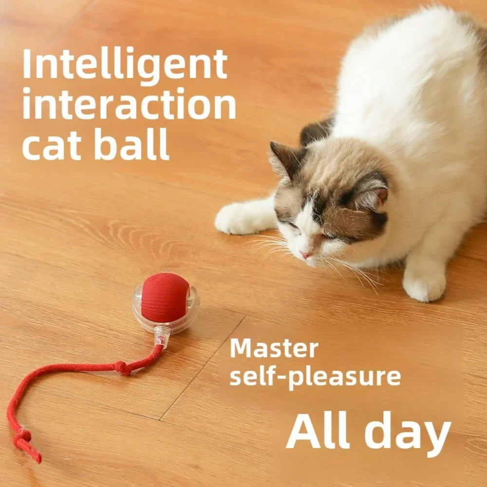 Rechargeable Smart Interactive Pet Ball Toy for Cats - Smarsty