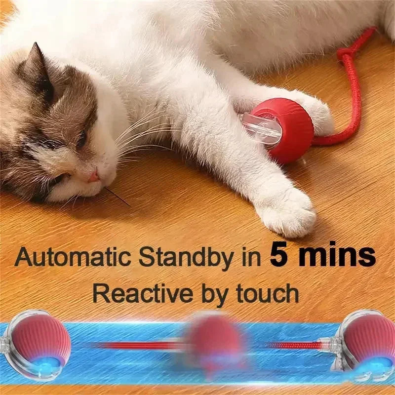 Rechargeable Smart Interactive Pet Ball Toy for Cats - Smarsty