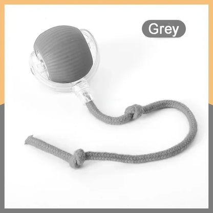 Rechargeable Smart Interactive Pet Ball Toy for Cats - Smarsty