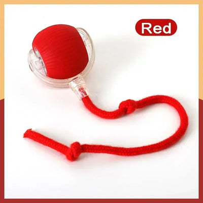 Rechargeable Smart Interactive Pet Ball Toy for Cats - Smarsty
