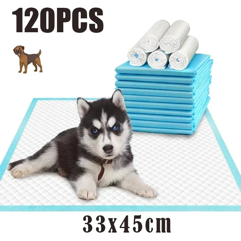 Ultra Absorbent Pet Diaper Pads with Odor Control - Smarsty