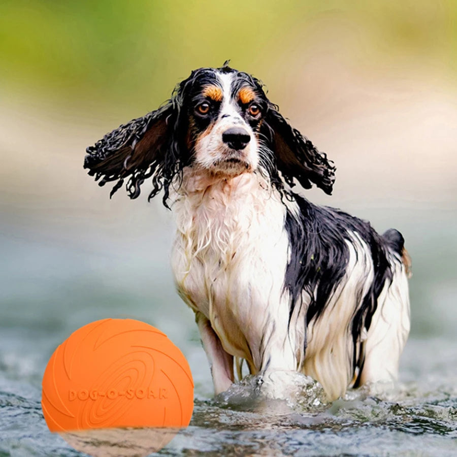 Large Dog Flying Disc Toy for Outdoor Training - Smarsty