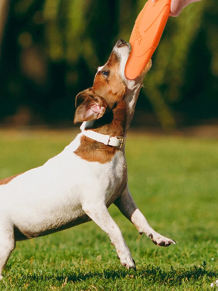 Large Dog Flying Disc Toy for Outdoor Training - Smarsty