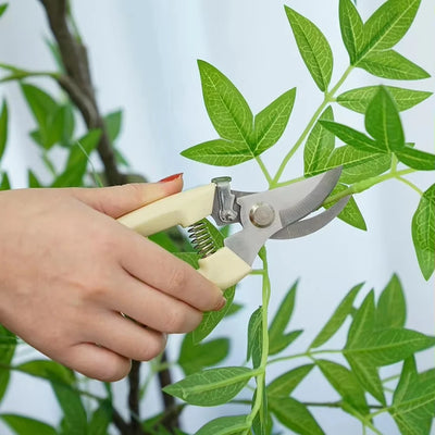 Stainless Steel Pruning Scissors for Effortless Cutting - Smarsty